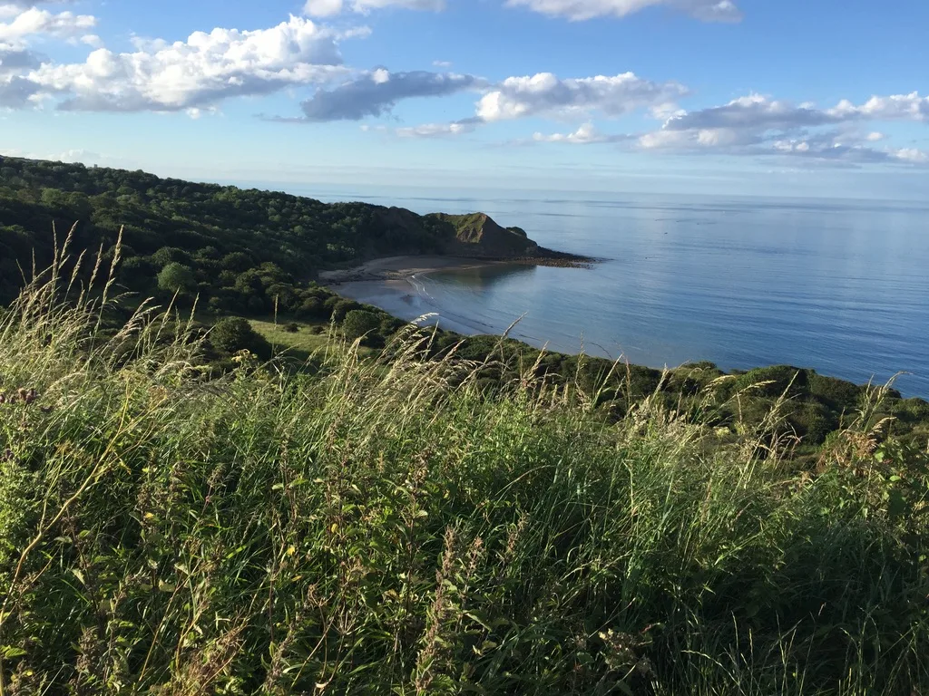 View north from Cayton Bay along the Cleveland Way with coastal cliffs and calm sea on the Yorkshire coast