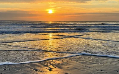 Spring Break Ideas in Scarborough